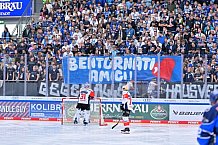 Eishockey, Herren, DEL, Saison 2026-2027, Spieltag 2, ERC Ingolstadt - Nürnberg Ice Tigers, 20.09.2026