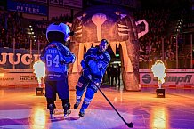 Eishockey, Herren, DEL, Saison 2026-2027, Spieltag 8, ERC Ingolstadt - Löwen Frankfurt, 11.10.2026