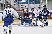 Eishockey, Mens, CHL, Season 2023-2024, ERC Ingolstadt - Vitkovice Ridera, 17.10.2023