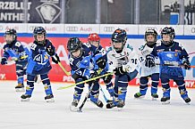 Eishockey, Herren, DEL, Saison 2023-2024, Spieltag 18, ERC Ingolstadt - Eisbären Berlin, 05.11.2023