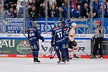 Eishockey, Herren, DEL, Saison 2024-2025, Spieltag 48, ERC Ingolstadt - Nürnberg Ice Tigers, 23.02.2025