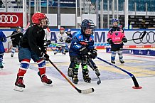 Eishockey, Saison 2025-2026, ERC Ingolstadt - Kids On Ice Day, 29.11.2025