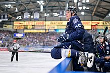 Eishockey, Herren, DEL, Saison 2024-2025, Spieltag 52, ERC Ingolstadt - Schwenninger Wild Wings, 07.03.2025