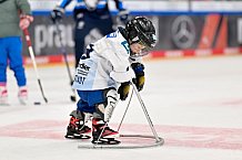 Eishockey, Saison 2025-2026, ERC Ingolstadt - Kids On Ice Day, 29.11.2025