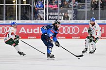 Eishockey, Herren, DEL, Saison 2023-2024, Spieltag 35, ERC Ingolstadt - Augsburger Panther, 05.01.2024