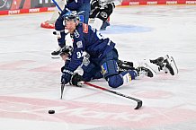 Eishockey, Herren, DEL, Saison 2024-2025, Playoffs Halbfinale, Spiel 5, ERC Ingolstadt - Kölner Haie, 11.04.2025