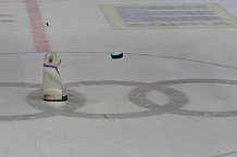 ERC Ingolstadt vs Eisbaeren Berlin am 22.02.2019, Spieltag 49