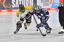 Eishockey, Frauen, DFEL, Saison 2021-2022, ERC Ingolstadt - Mad Dogs Mannheim, 24.10.2021