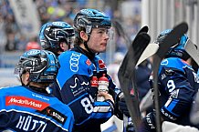 Eishockey, Herren, DEL, Saison 2025-2026, Spiel 47, ERC Ingolstadt - Nürnberg Ice Tigers, 01.03.2026