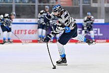 Eishockey, Herren, DEL, Saison 2024-2025, Vorbereitung, ERC Ingolstadt - Dresdner Eislöwen, 18.08.2024
