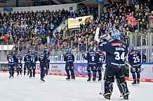 Eishockey, Herren, DEL, Saison 2024-2025, Spieltag 22, ERC Ingolstadt - Düsseldorfer EG, 01.12.2024