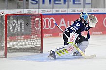 Eishockey, Herren, DEL, Saison 2024-2025, Vorbereitung, ERC Ingolstadt - Dresdner Eislöwen, 18.08.2024