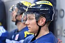 ERC Ingolstadt vs Thomas Sabo Ice Tigers, Eishockey, DEL, Deutsche Eishockey Liga, Spieltag 49, 19.02.2017
