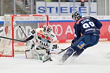 Eishockey, Herren, DEL, Saison 2024-2025, Spieltag 15, ERC Ingolstadt - Augsburger Panther, 03.11.2024