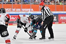 Eishockey, Herren, DEL, Saison 2026-2027, Spieltag 6, ERC Ingolstadt - Kölner Haie, 04.10.2026
