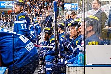 ERC Ingolstadt - Krefeld Pinguine, Eishockey, DEL, Deutsche Eishockey Liga, Spieltag 35, 05.01.2017, Foto: Eibner / Oliver STRISCH