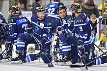 ERC Ingolstadt vs Krefeld Pinguine, DEL, Deutsche Eishockey Liga, Spieltag 44, 01.02.2019