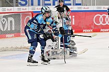 Eishockey, Frauen, DFEL, Spieltag 8, Saison 2022-2023, ERC Ingolstadt - ECDC Memmingen Indians, 23.10.2022