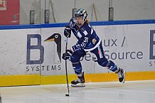 Eishockey, Frauen, DFEL, Saison 2021-2022, ERC Ingolstadt - ESC Planegg-Würmtal, 31.10.2021