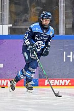 Eishockey, Frauen, DFEL, Saison 2025-2026, Testspiel, ERC Ingolstadt - HC Davos, 14.02.2026
