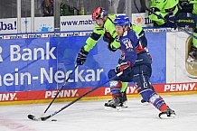 Eishockey, Herren, DEL, Saison 2020-2021, Adler Mannheim - ERC Ingolstadt, 15.02.2021