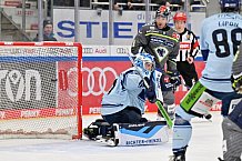 Eishockey, Herren, DEL, Saison 2023-2024, Spieltag 30, ERC Ingolstadt - Straubing Tigers, 23.12.2023