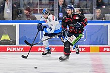 Eishockey, Herren, DEL, Saison 2024-2025, Spieltag 39, Straubing Tigers - ERC Ingolstadt, 24.01.2025