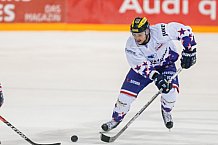 ERC Ingolstadt - Adler Mannheim, Eishockey, DEL, Deutsche Eishockey Liga, Spieltag 43, 29.01.2017