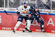 Eishockey, Herren, DEL, Saison 2024-2025, Spieltag 51, ERC Ingolstadt - EHC Red Bull München, 04.03.2025