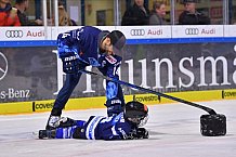 ERC Ingolstadt Kids on Ice Day, DEL, Deutsche Eishockey Liga, 12.10.2019