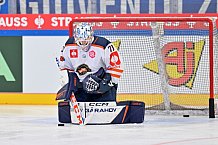 Eishockey, Mens, CHL, Season 2023-2024, ERC Ingolstadt - Växjö Lakers, 14.11.2023