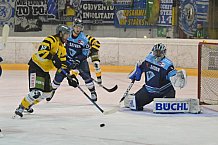 Eishockey, Herren, 6. Vinschgau-Cup, Saison 2022-2023, ERC Ingolstadt - HC Pustertal, 26.08.2022