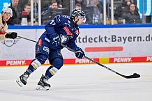Eishockey, Herren, DEL, Saison 2024-2025, Playoffs Viertelfinale, Spiel 5, ERC Ingolstadt - Nürnberg Ice Tigers, 26.03.2025