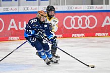 Eishockey, Frauen, DFEL, Saison 2024-2025, ERC Ingolstadt - Mad Dogs Mannheim, 23.11.2024