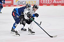 Eishockey, Herren, DEL, Saison 2024-2025, Spieltag 42, ERC Ingolstadt - Kölner Haie, 31.01.2025