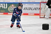 Eishockey, Herren, DEL, Saison 2023-2024, ERC Ingolstadt - Kids on Ice Day, 30.09.2023