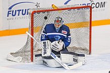 ERC Ingolstadt - Koelner Haie, Eishockey, DEL, Deutsche Eishockey Liga, Spieltag 22, 25.11.2016, Foto: st-foto.de / Oliver STRISCH