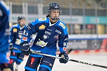 Eishockey, Herren, U20 DNL, Saison 2025-2026, ERC Ingolstadt - Jungadler Mannheim, 24.01.2026