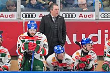 Eishockey, Herren, DEL, Saison 2024-2025, Spieltag 35, ERC Ingolstadt - Augsburger Panther, 10.01.2025