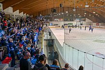 Eishockey, Herren, DEL, Saison 2026-2027, Steinbach Black Wings Linz - ERC Ingolstadt, 23.08.2026