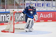 Eishockey, Herren, DEL, Saison 2024-2025, Spieltag 38, ERC Ingolstadt - Nürnberg Ice Tigers, 19.01.2025