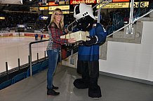 ERC Ingolstadt vs Schwenninger Wild Wings, Eishockey, DEL, Deutsche Eishockey Liga, 20.11.2015