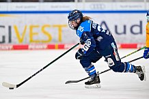 Eishockey, Frauen, DFEL, Saison 2025-2026, Testspiel, ERC Ingolstadt - HC Davos, 14.02.2026
