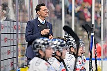 Eishockey, Herren, DEL, Saison 2024-2025, Spieltag 16, Nürnberg Ice Tigers - ERC Ingolstadt, 15.11.2024
