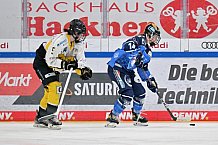 Eishockey, Frauen, DFEL, Saison 2023-2024, ERC Ingolstadt - Mad Dogs Mannheim, 18.02.2024