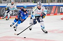 Eishockey, Herren, DEL, Saison 2025-2026, Spiel 23, ERC Ingolstadt - Dresdner Eislöwen, 28.11.2025