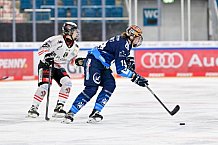 Eishockey, Frauen, DFEL, Saison 2024-2025, ERC Ingolstadt - ECDC Memmingen Indians, 16.11.2024
