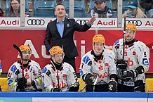 Eishockey, Herren, DEL, Saison 2023-2024, Spieltag 45, ERC Ingolstadt - Fischtown Pinguins, 27.02.2024