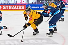 Hockey, Mens, CHL, Season 2025-2026, Regular Season, Game Day 2, ERC Ingolstadt - Kalpa Kuopio, 30.08.2025