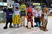 ERC Ingolstadt vs Duesseldorfer EG, Eishockey, DEL, Deutsche Eishockey Liga, 11.10.2015